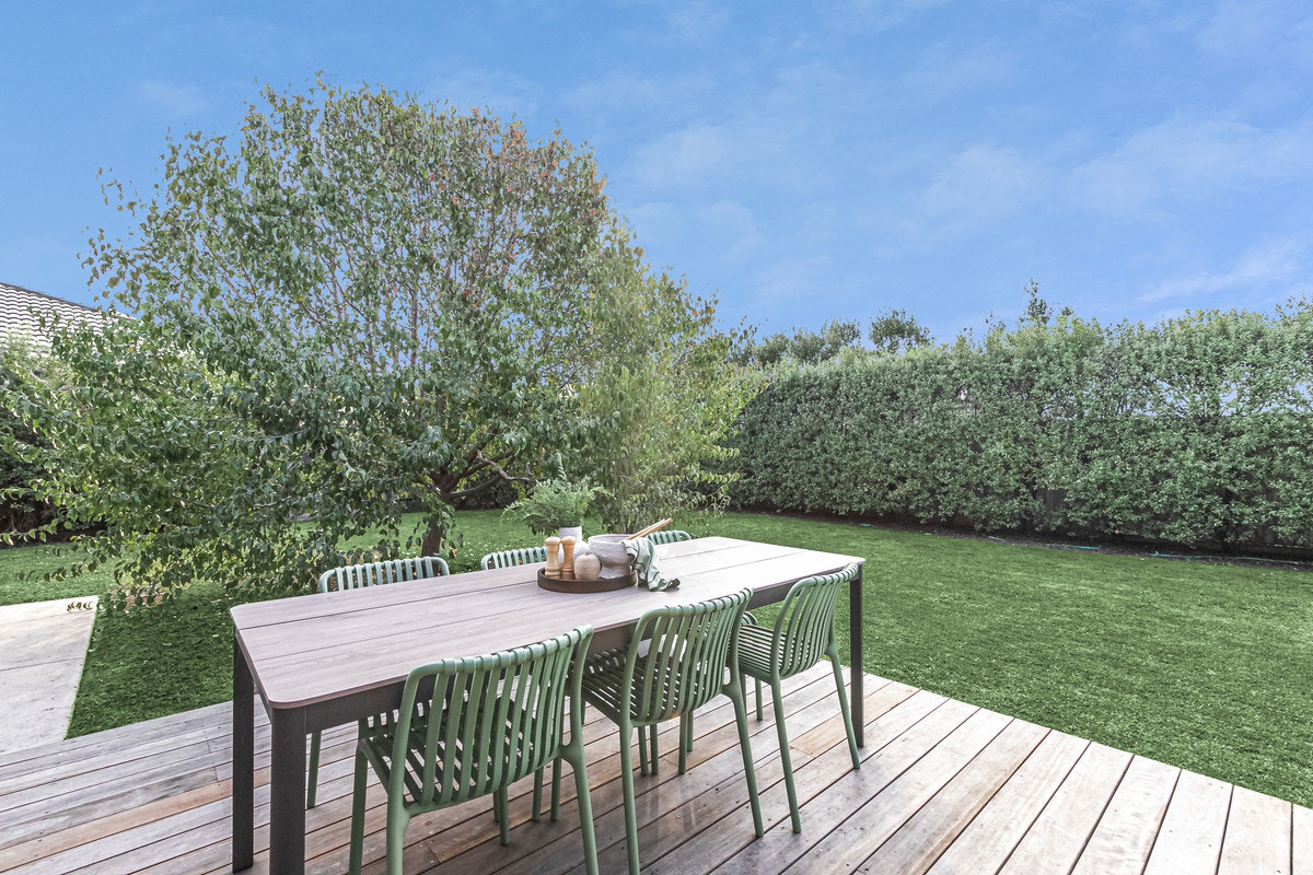 Image of backyard