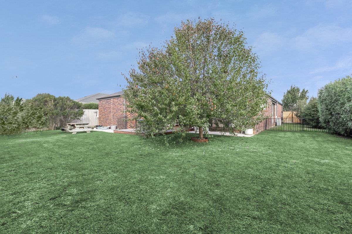 Image of grass
