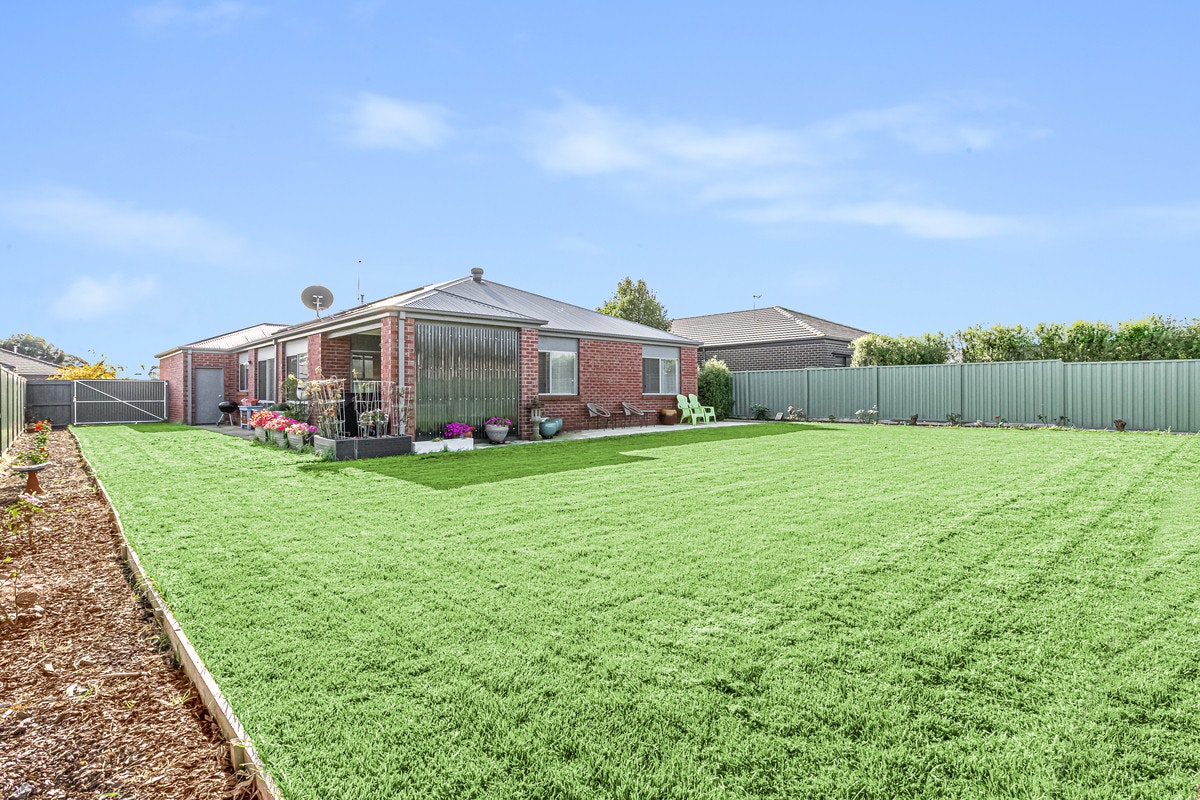 Image of grass