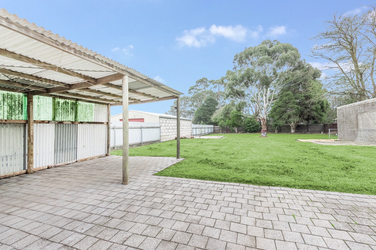 Image of backyard