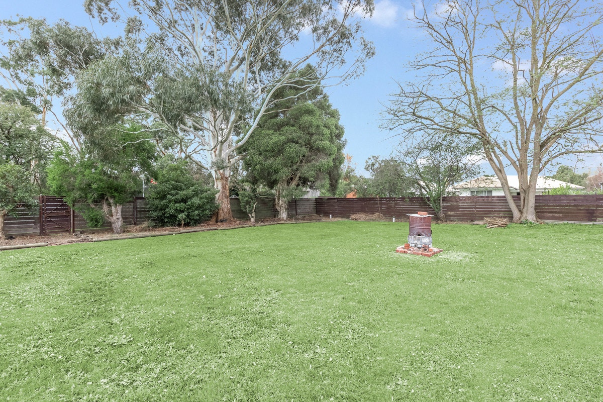 Image of grass