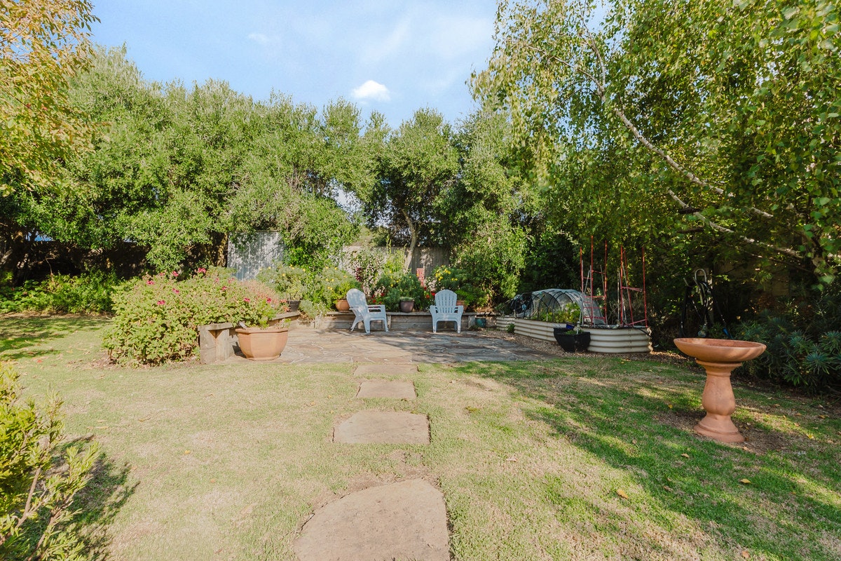 Image of backyard