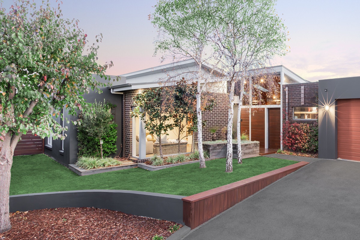 Image of backyard