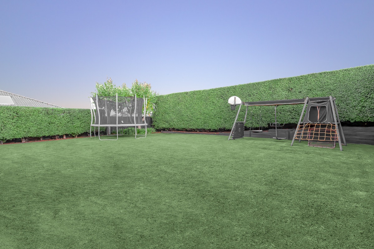 Image of grass