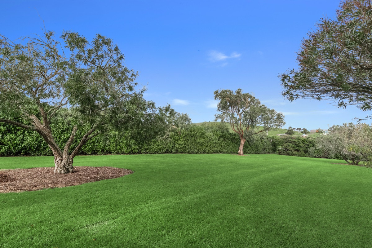 Image of grass