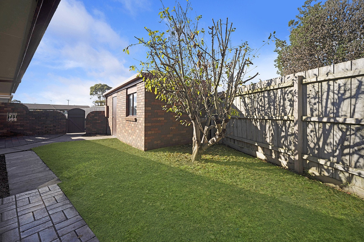 Image of backyard