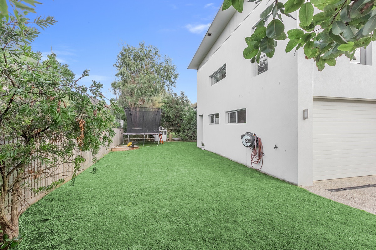Image of grass