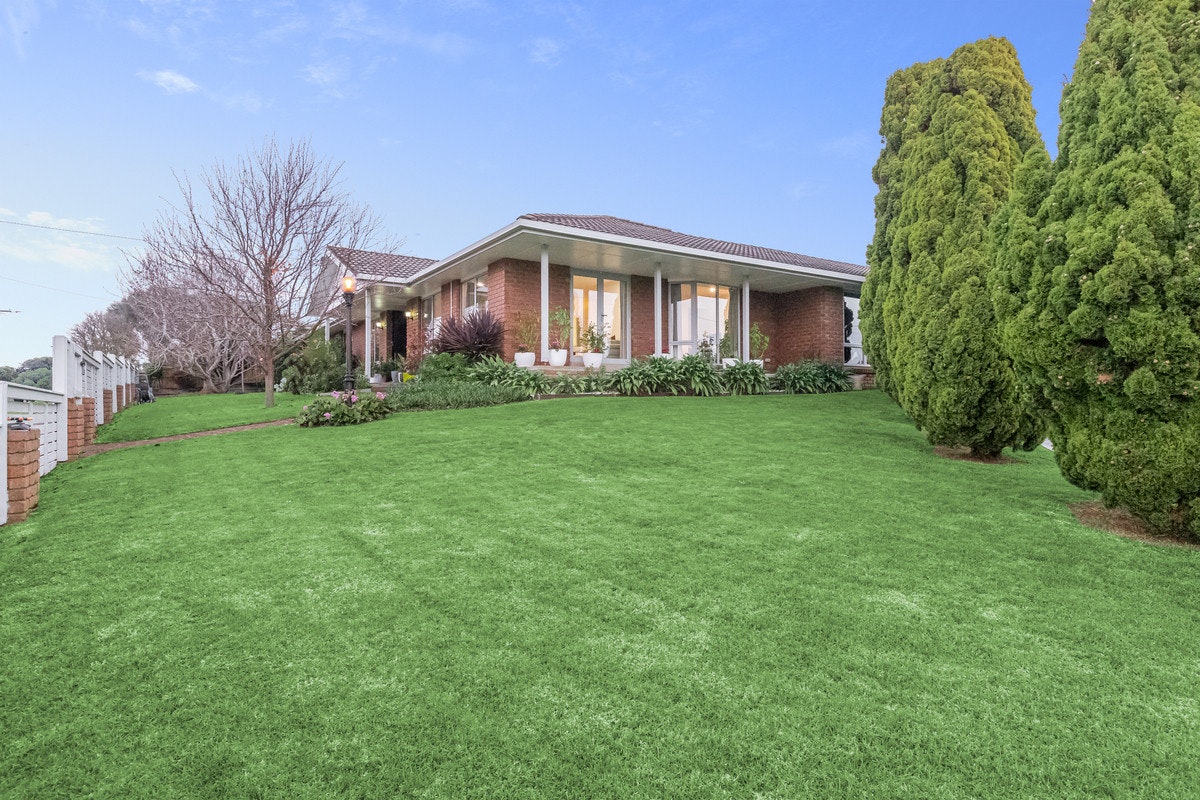 Image of grass