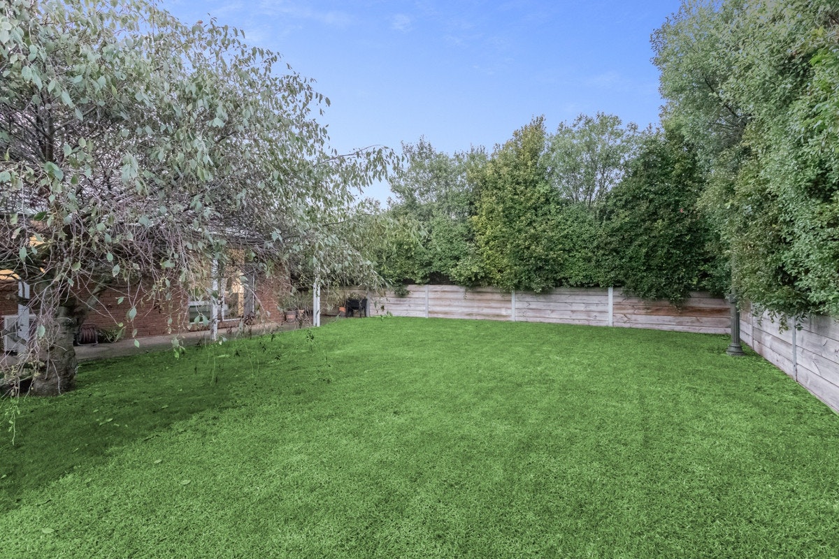 Image of backyard