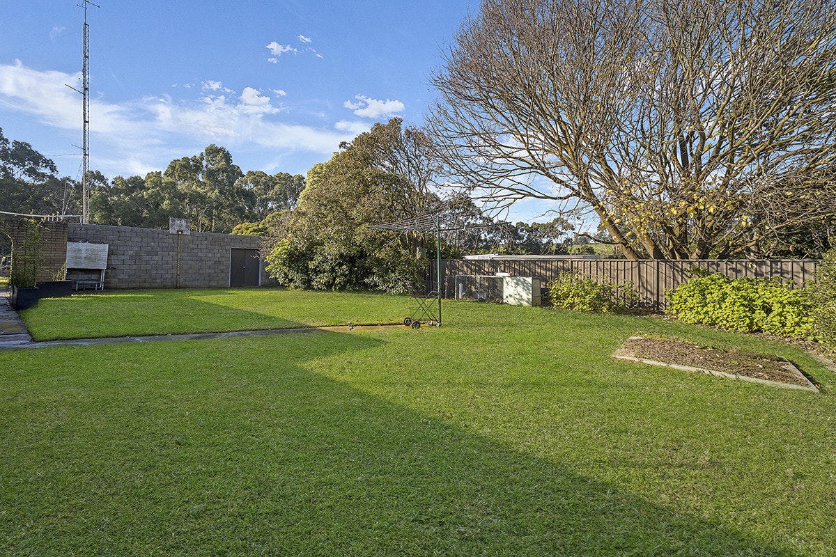 Image of grass
