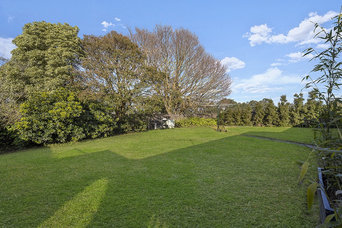Image of grass