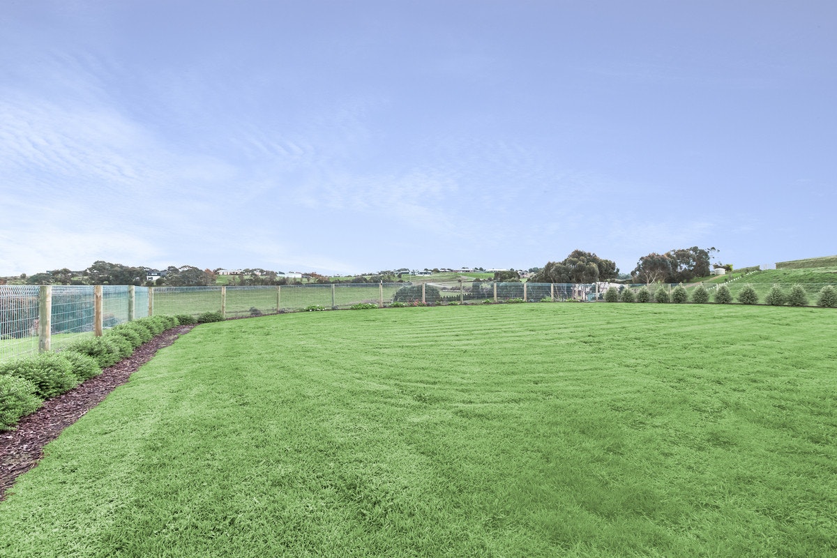 Image of grass