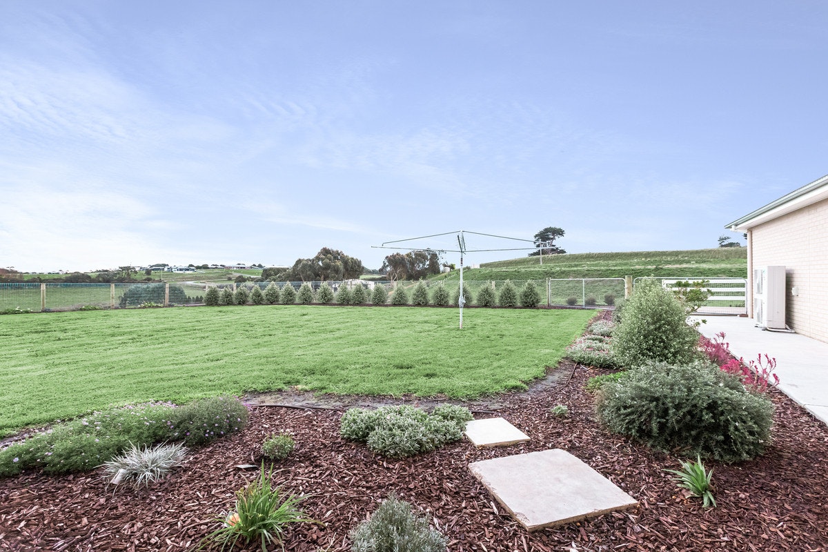 Image of grass