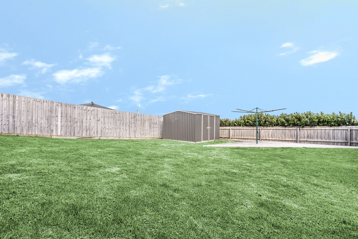 Image of backyard