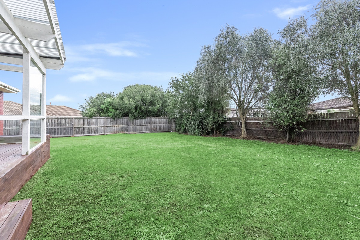 Image of backyard