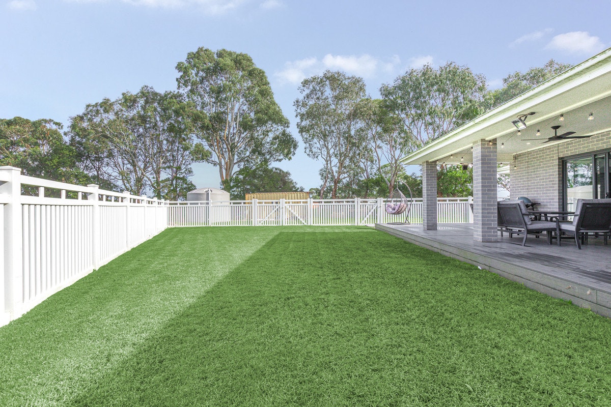 Image of backyard