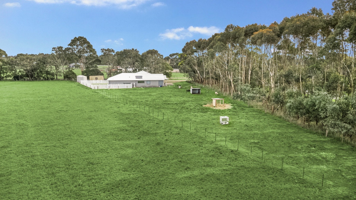 Image of grass
