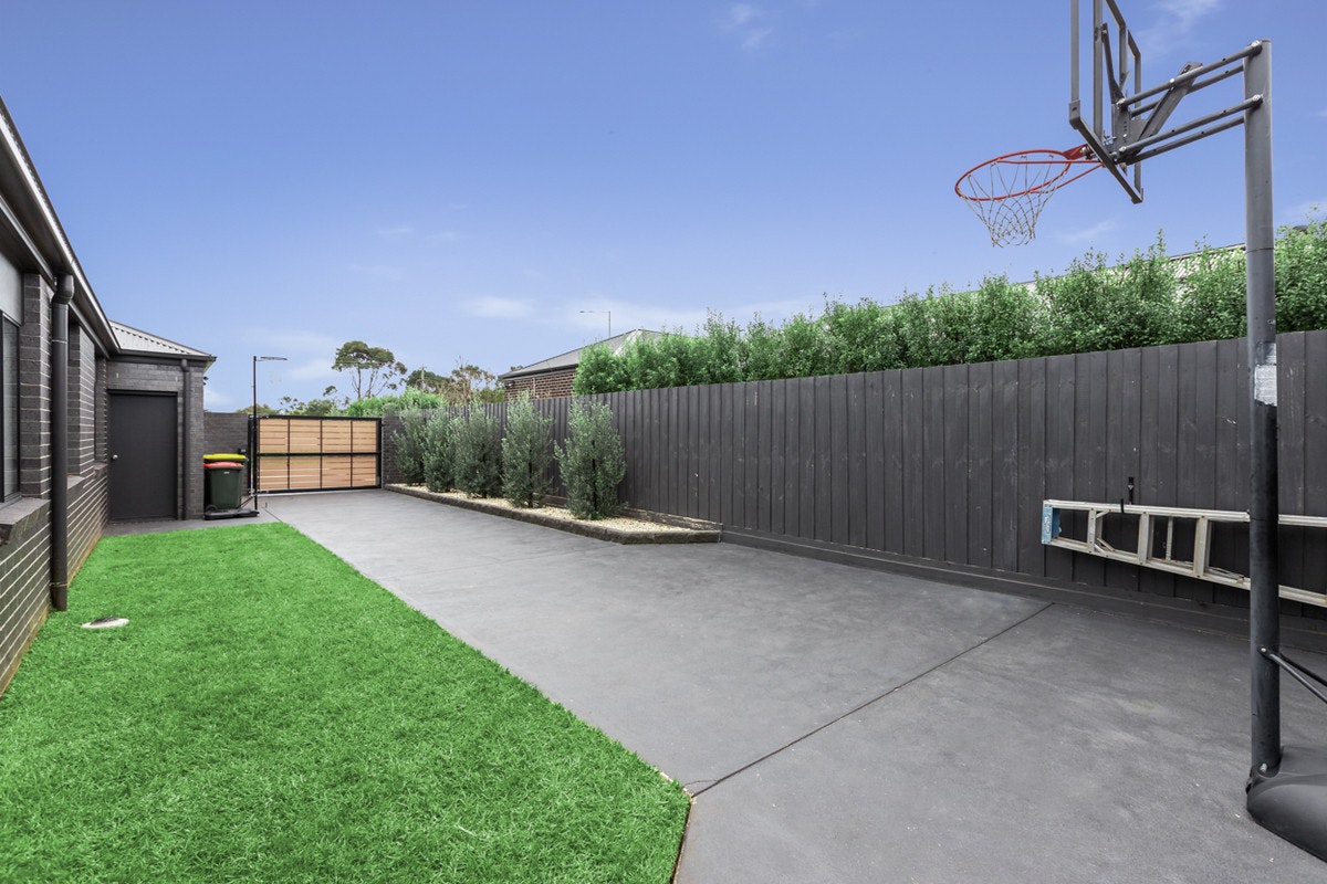 Image of backyard