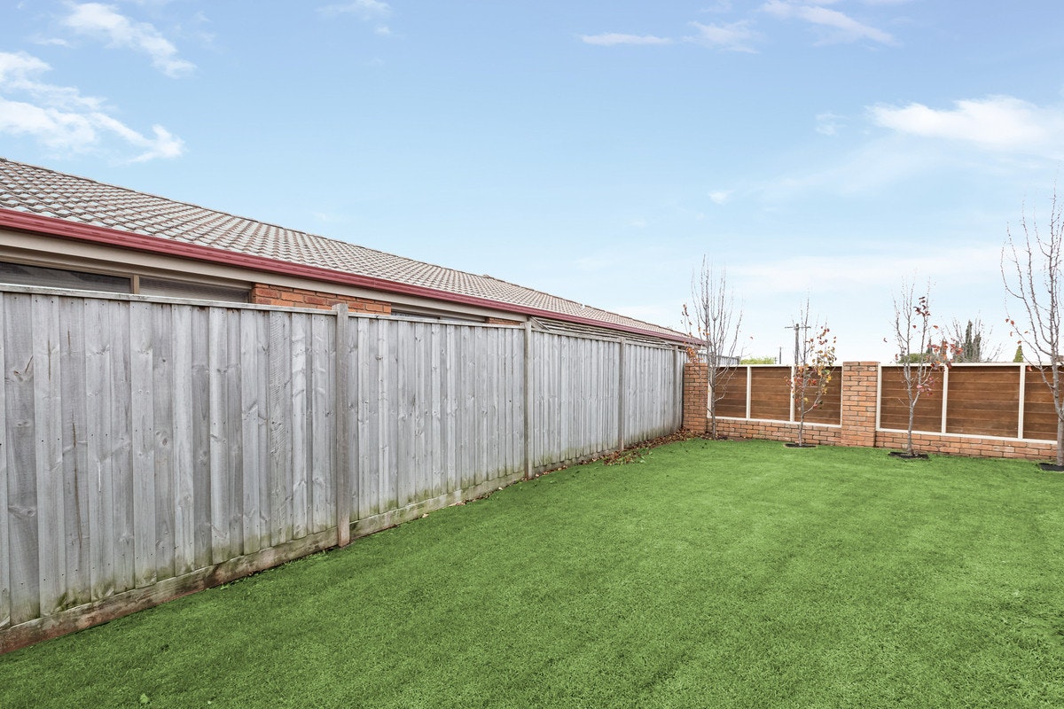 Image of backyard