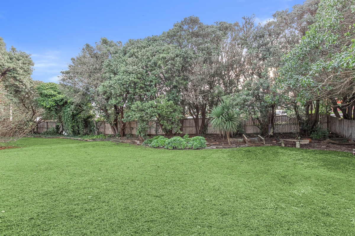 Image of backyard