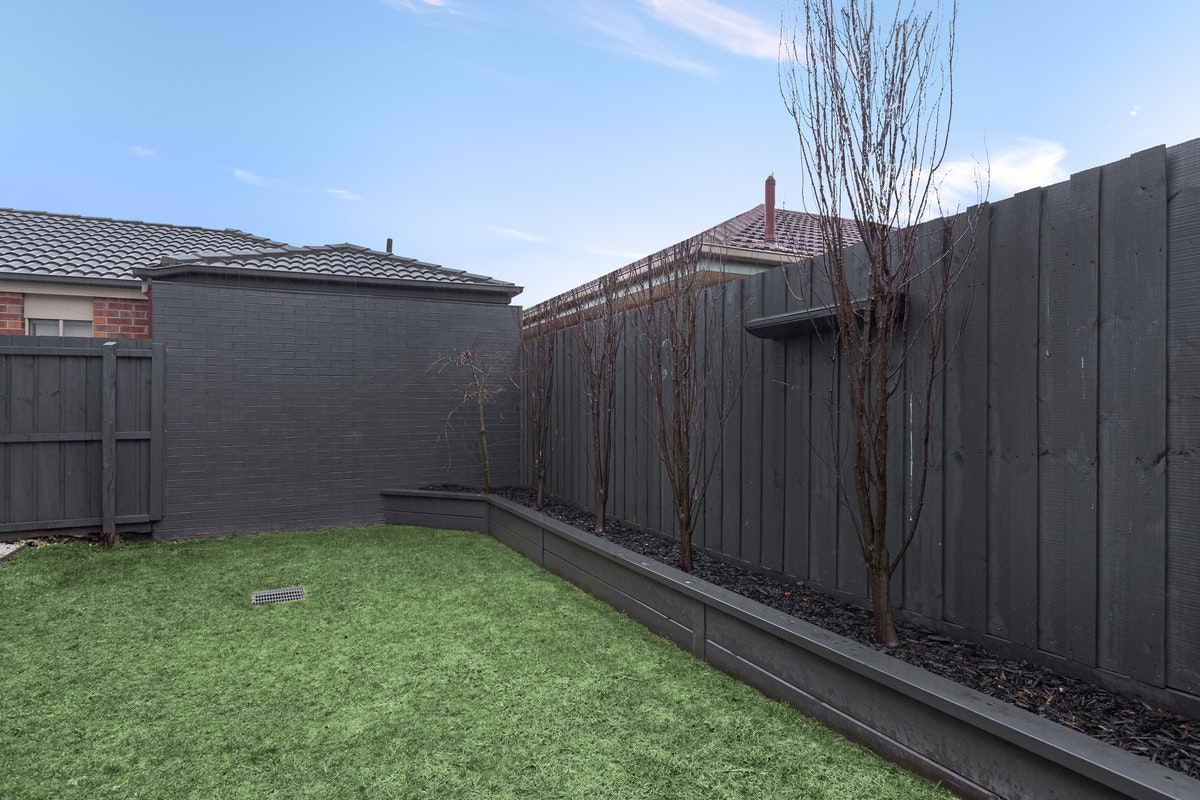 Image of backyard