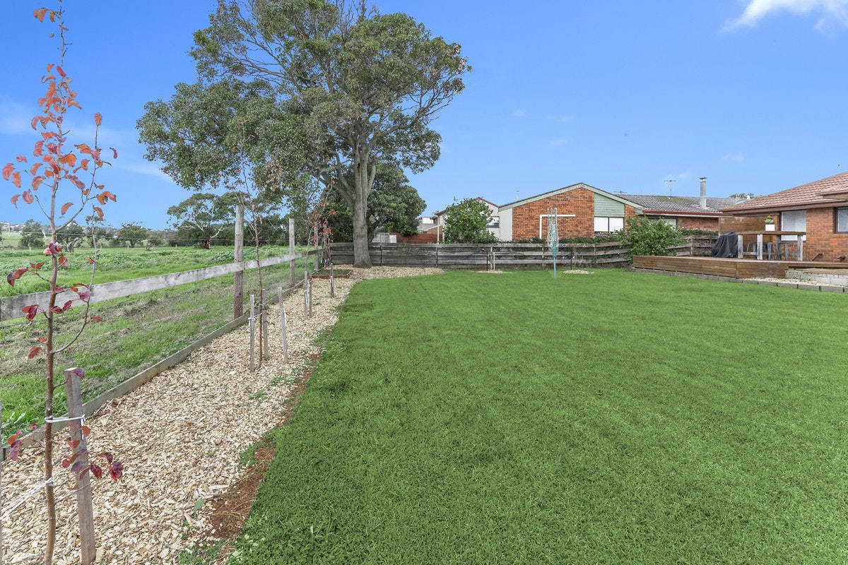 Image of grass
