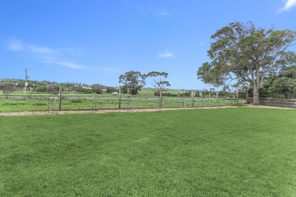 Image of grass