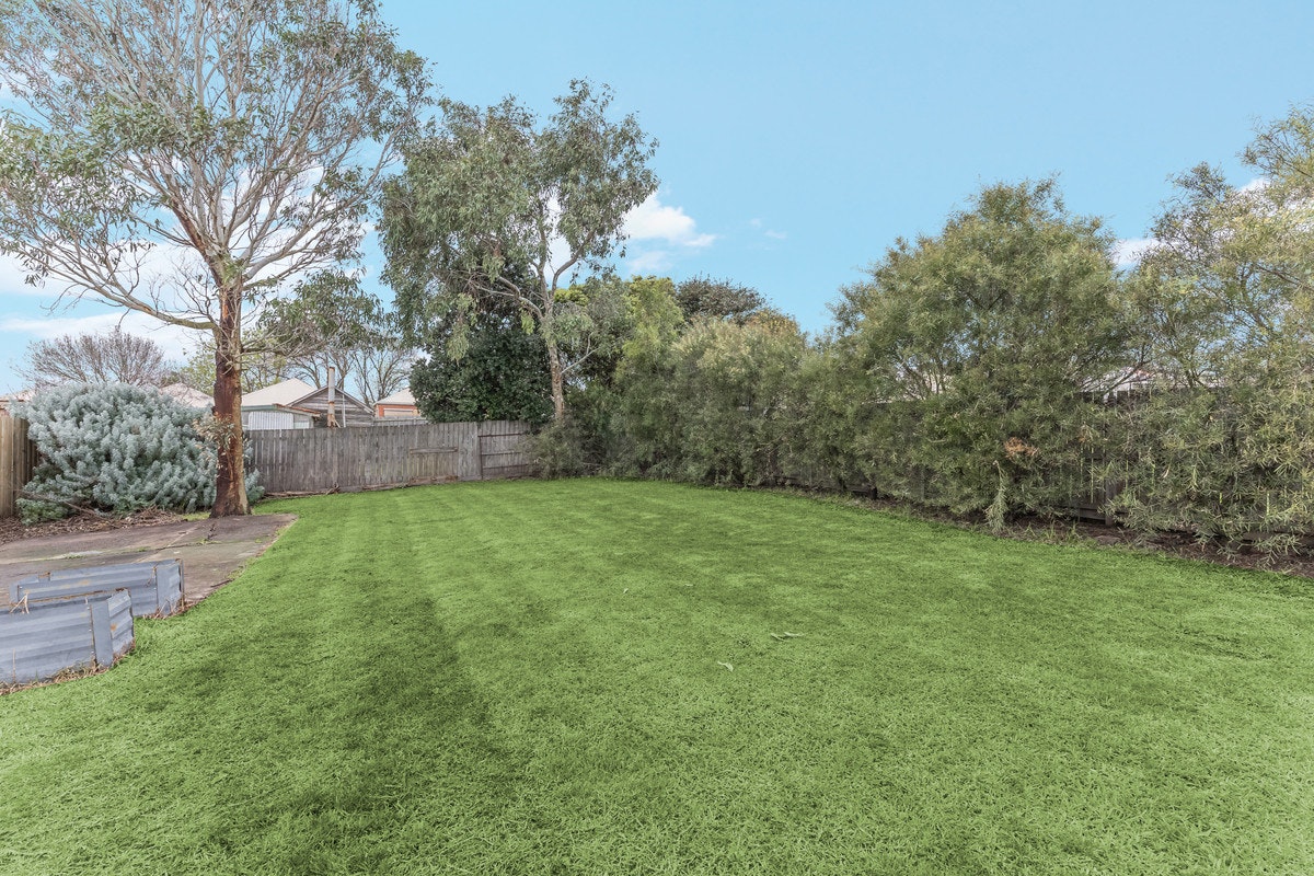 Image of backyard