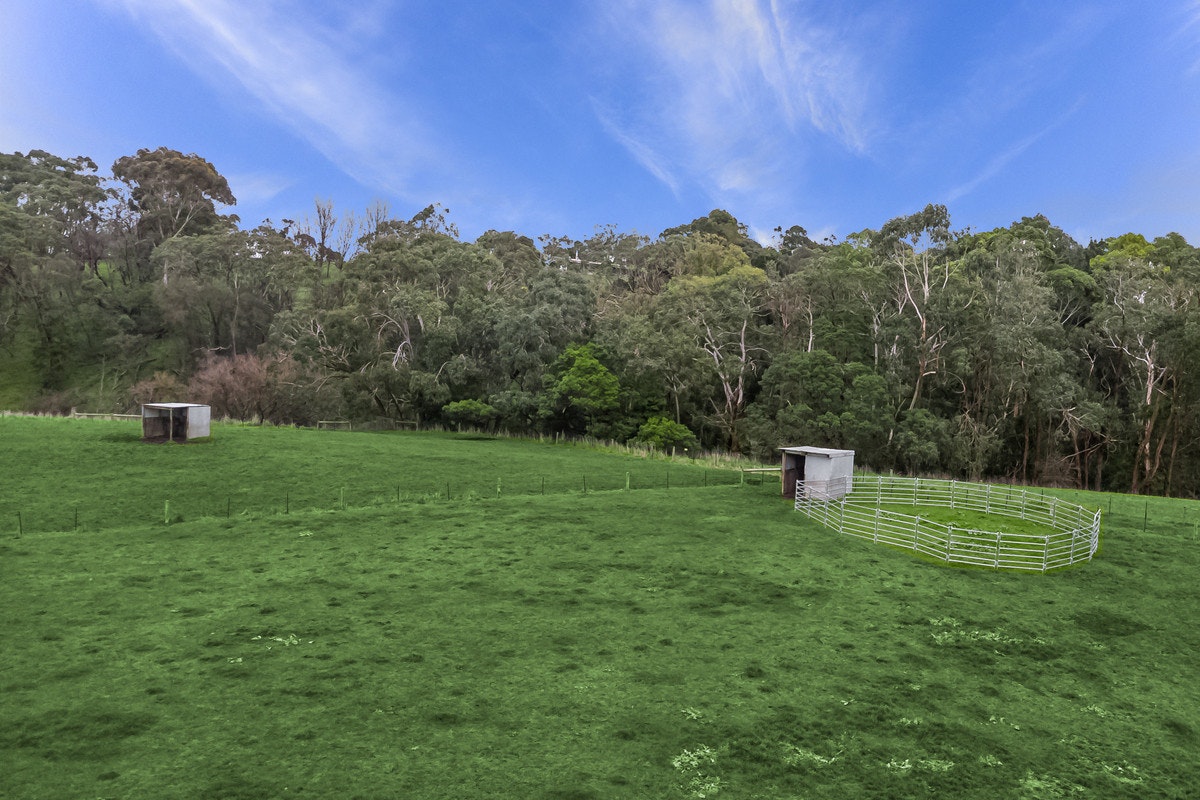Image of field