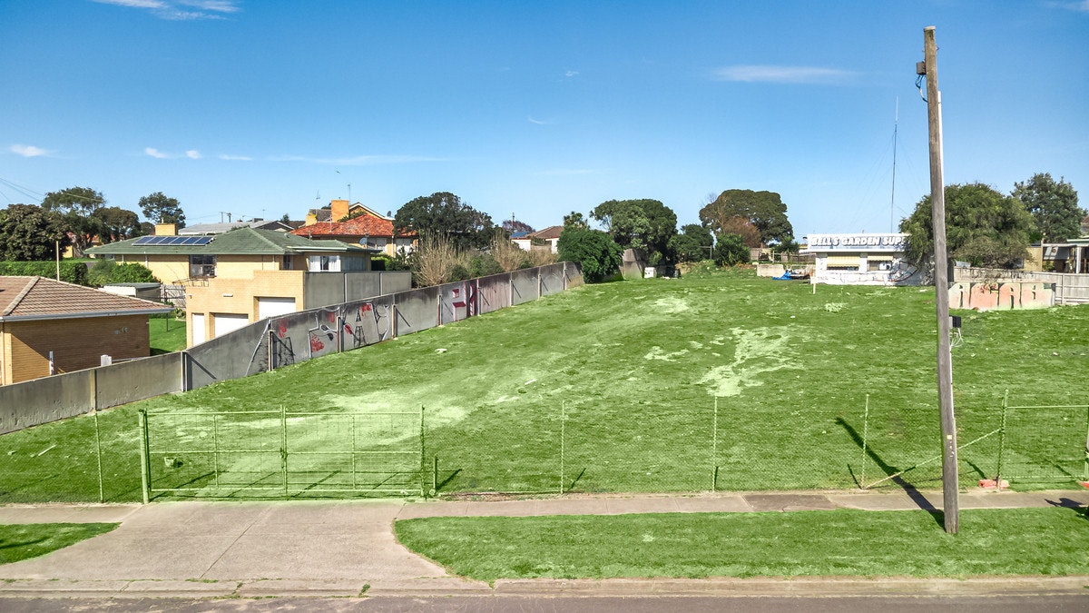 Image of grass