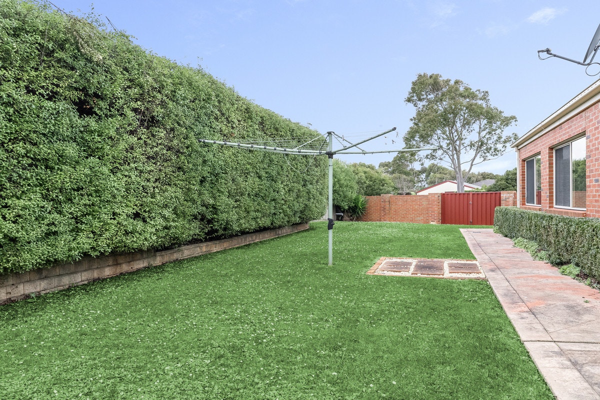 Image of backyard