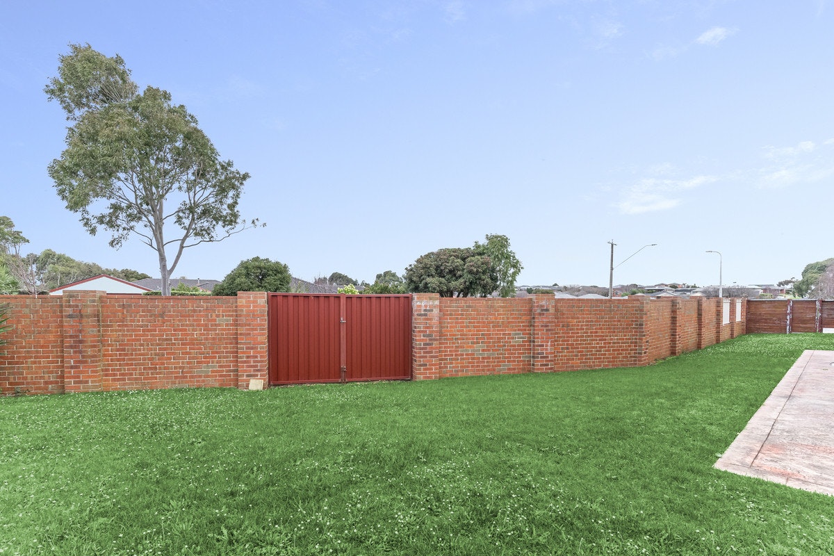 Image of backyard
