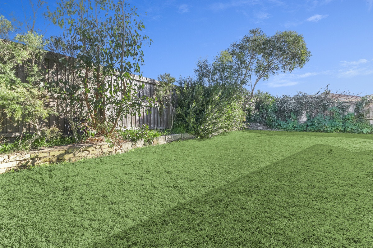 Image of grass