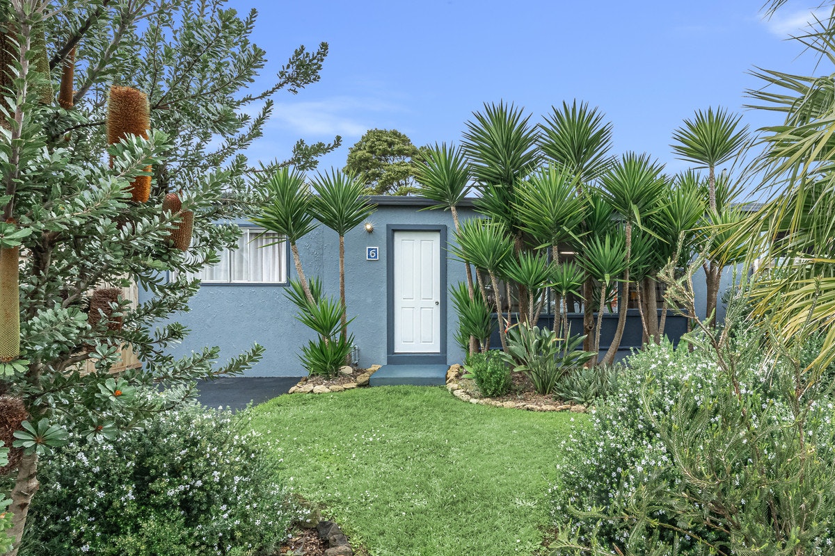 Image of backyard