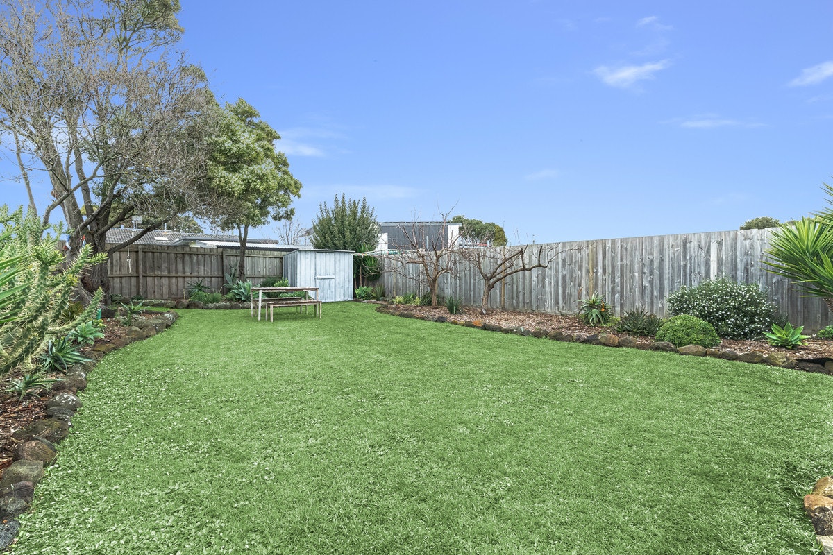 Image of backyard