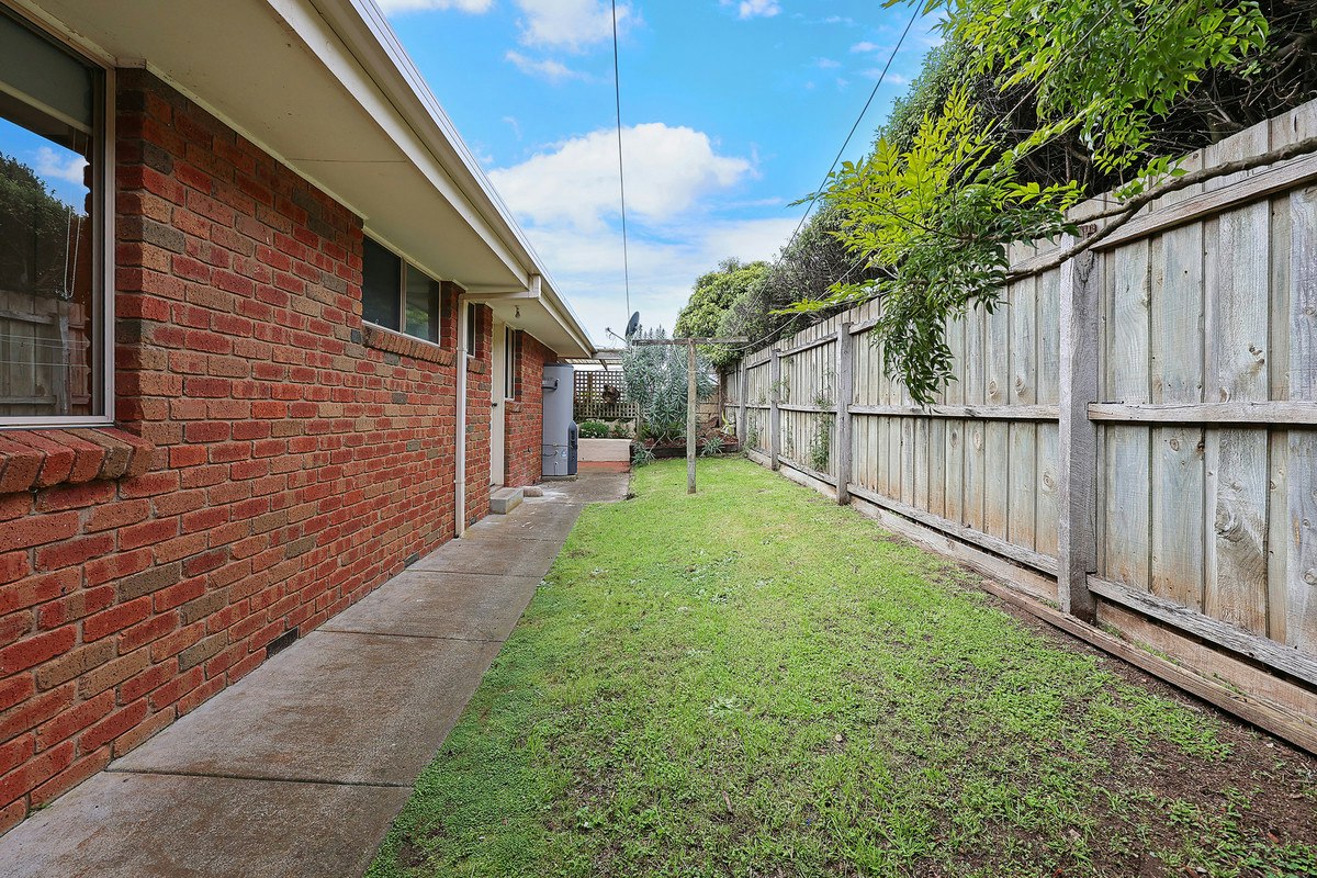 Image of backyard