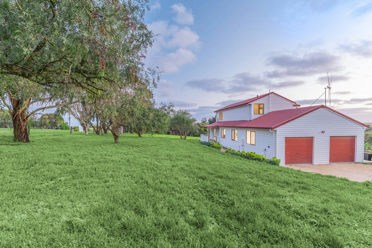 Image of grass