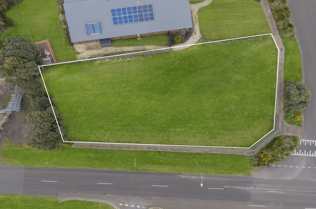 Image of grass