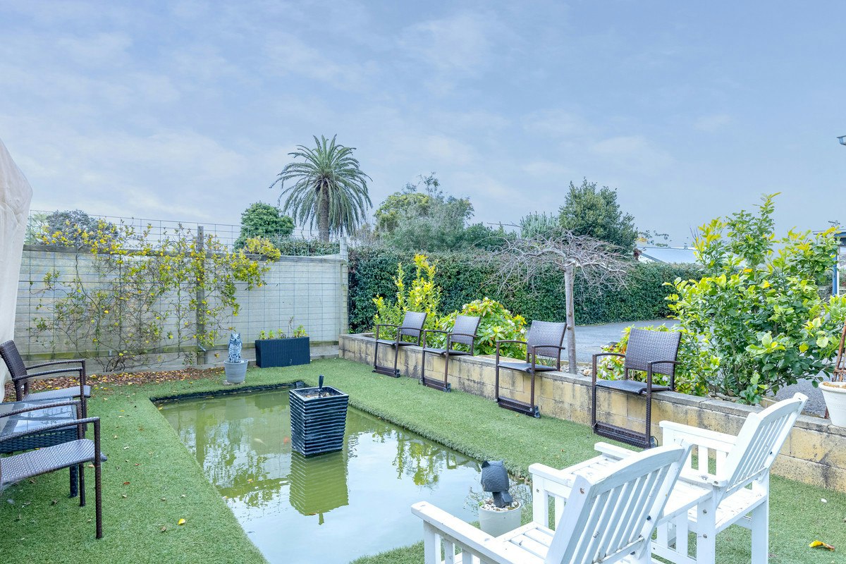 Image of backyard
