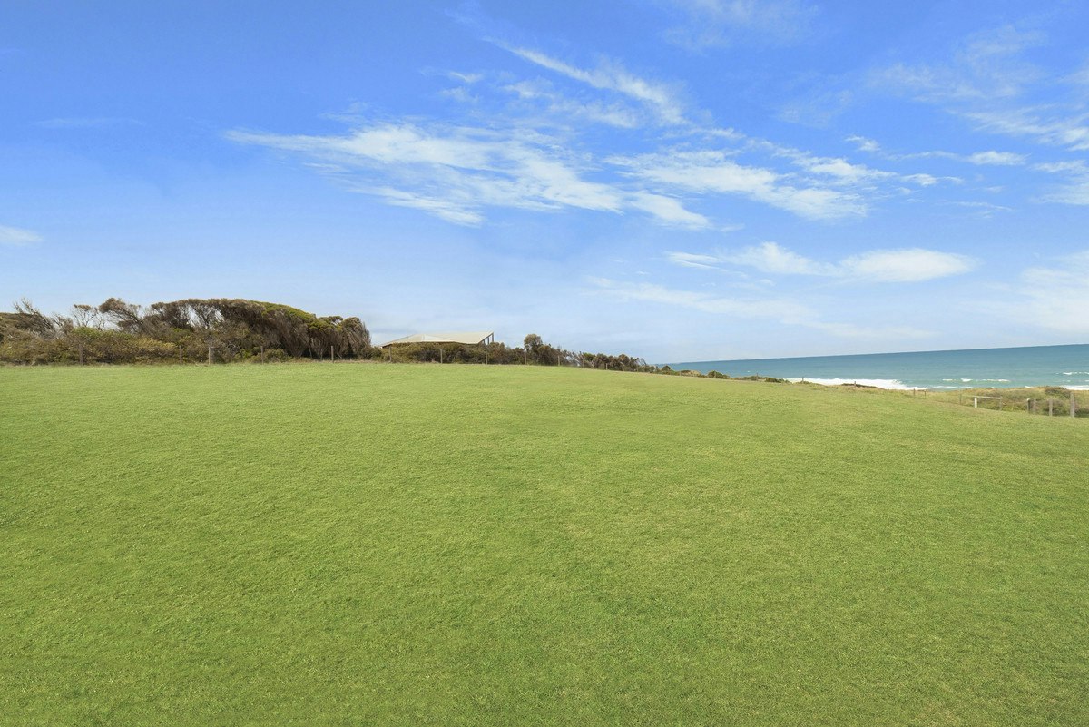 Image of grass