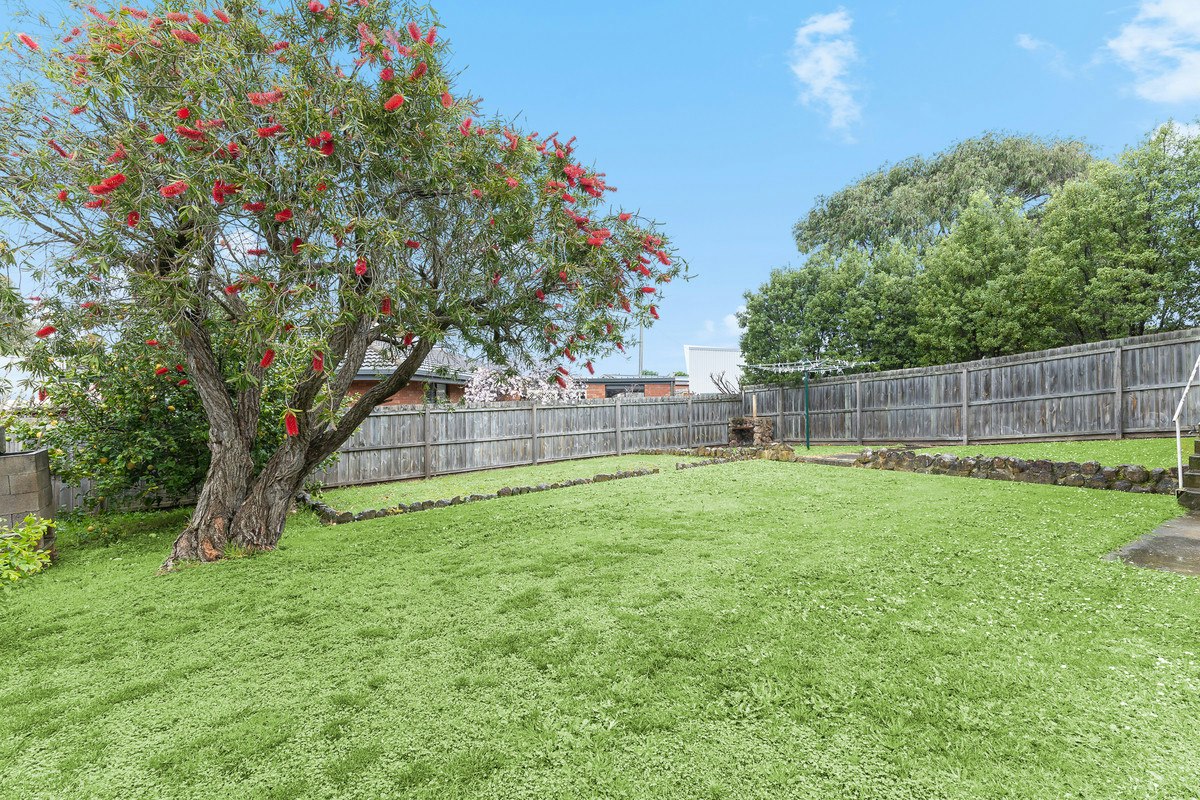 Image of backyard