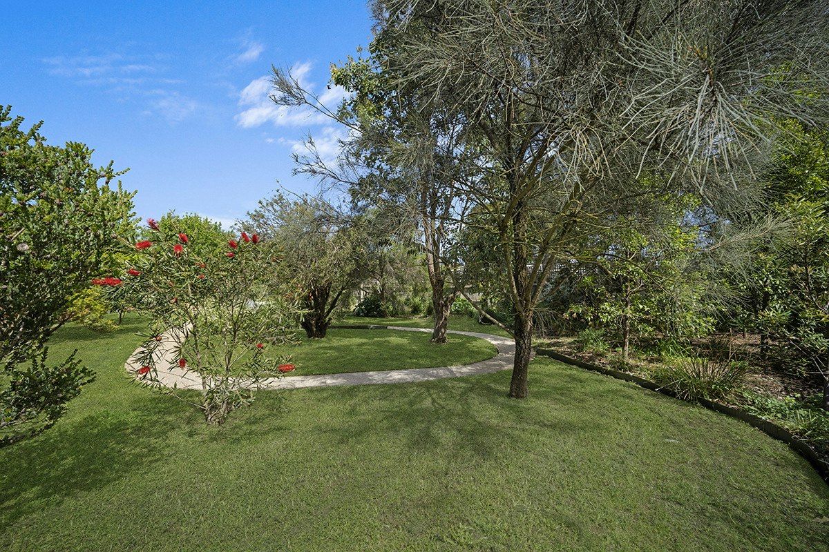 Image of grass