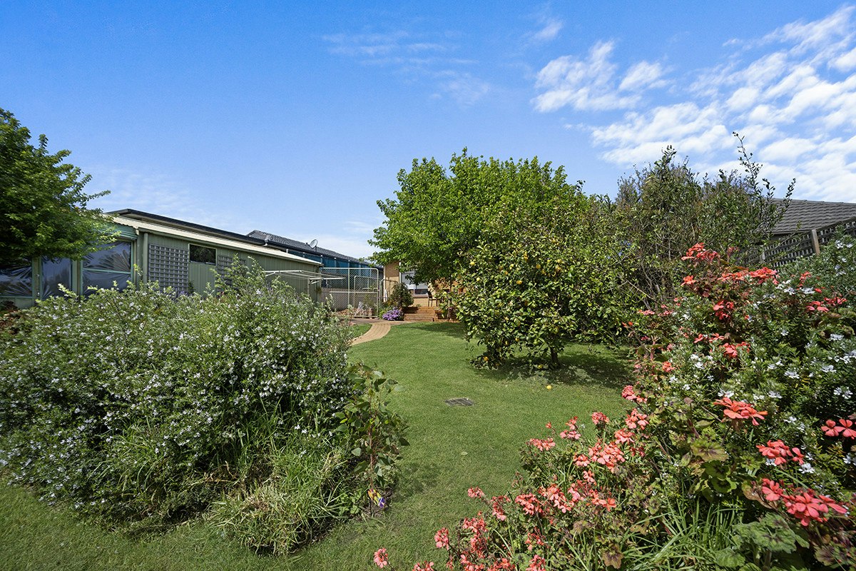 Image of backyard