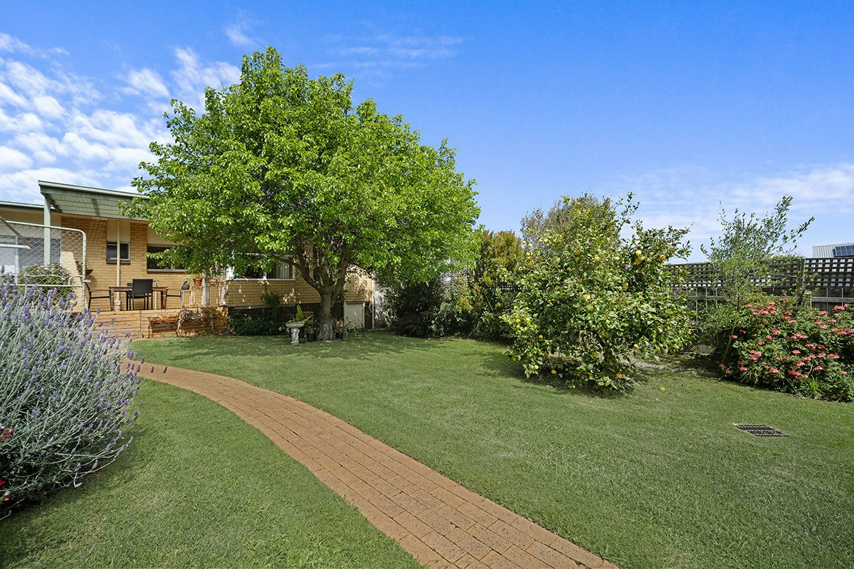 Image of backyard