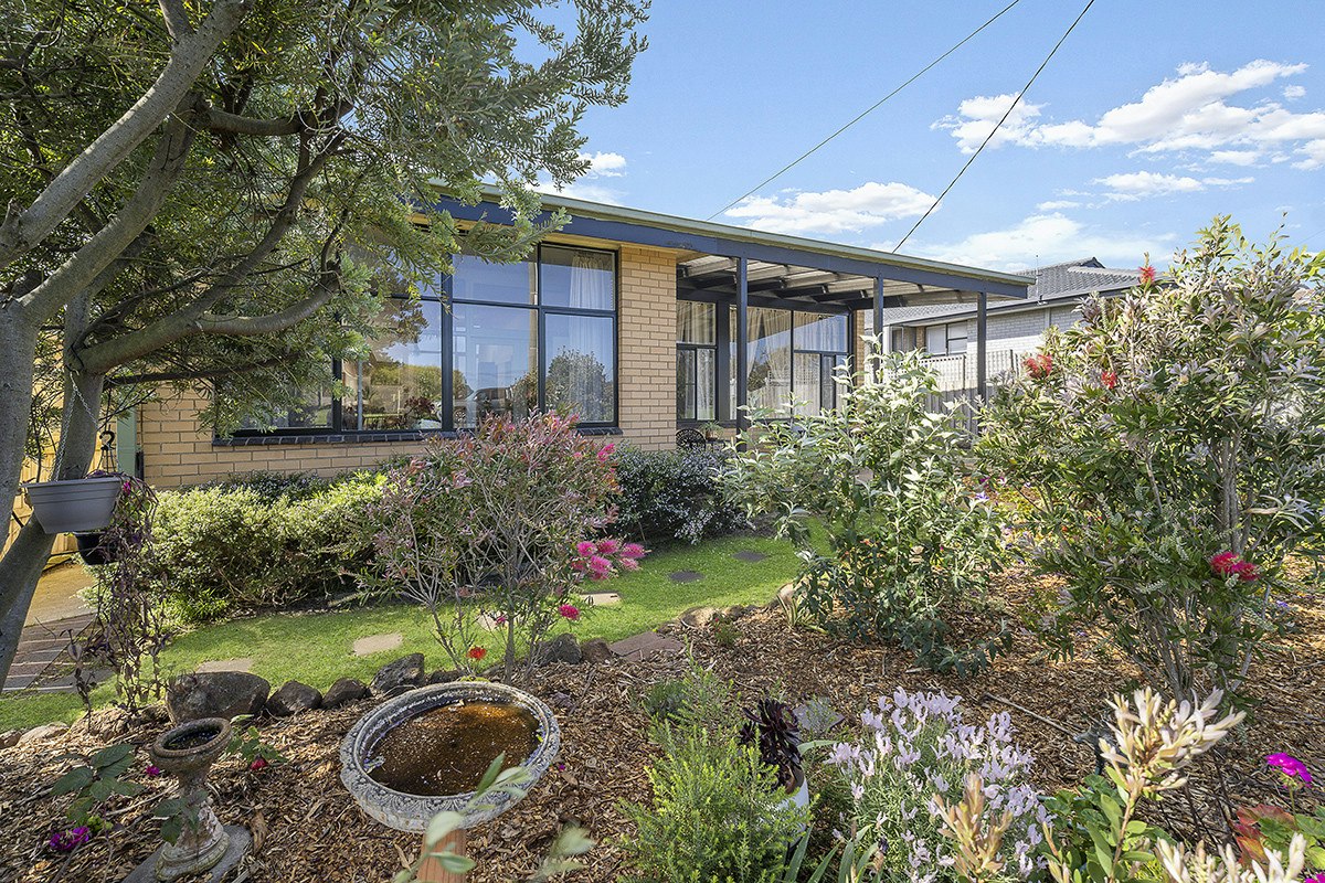 Image of garden