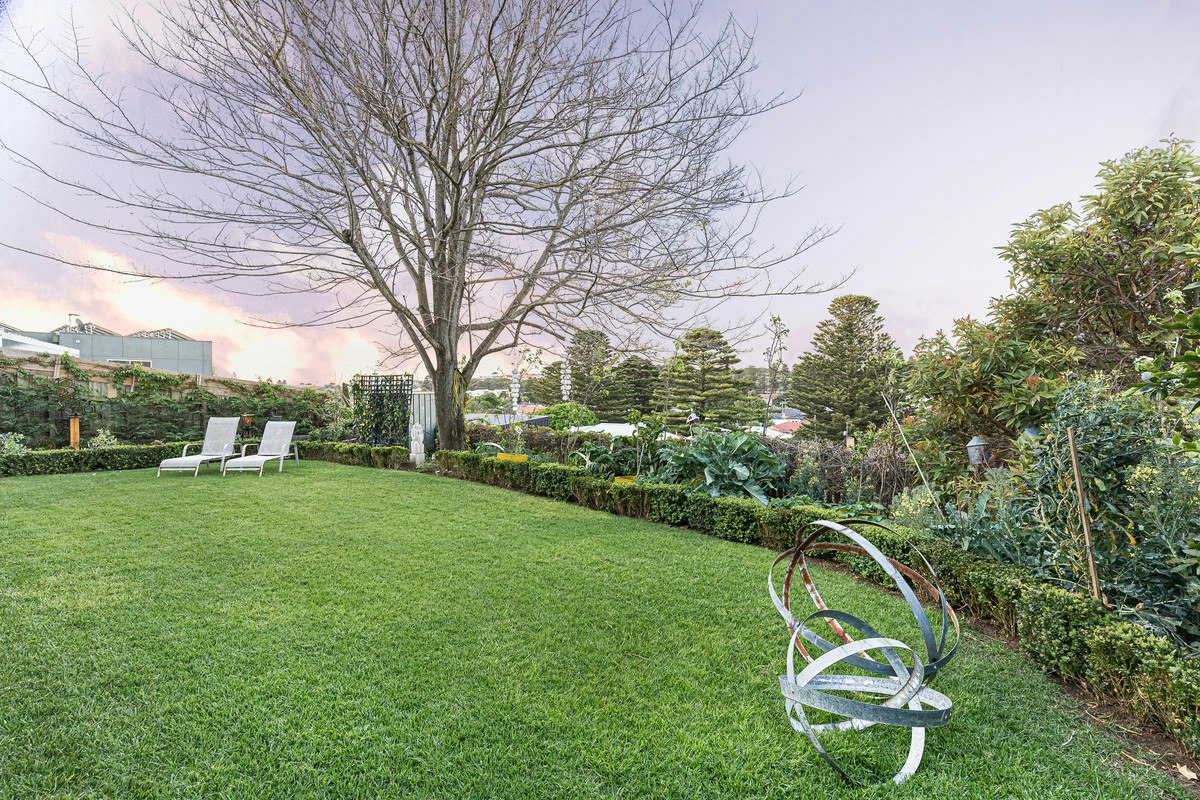 Image of grass