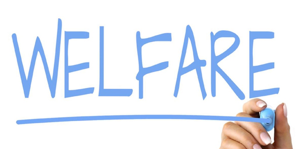 1581694888 welfare102