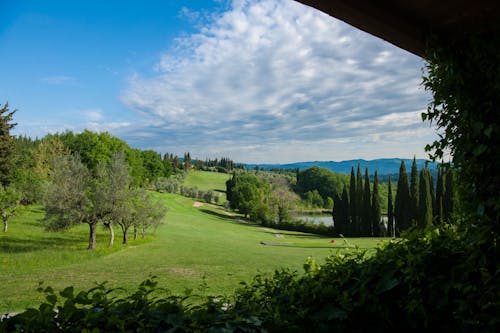 1570617376 dsc6459