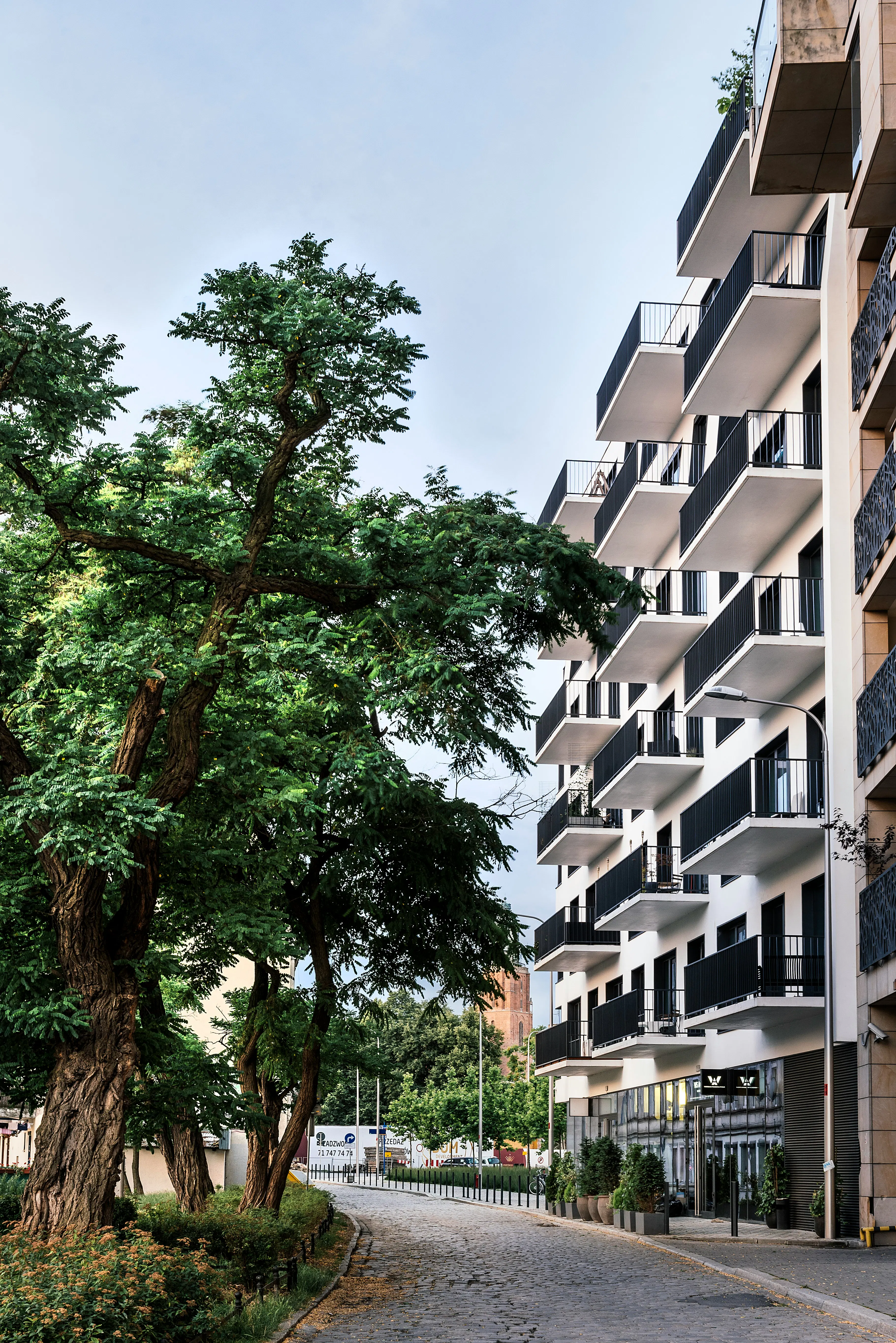 House with trees