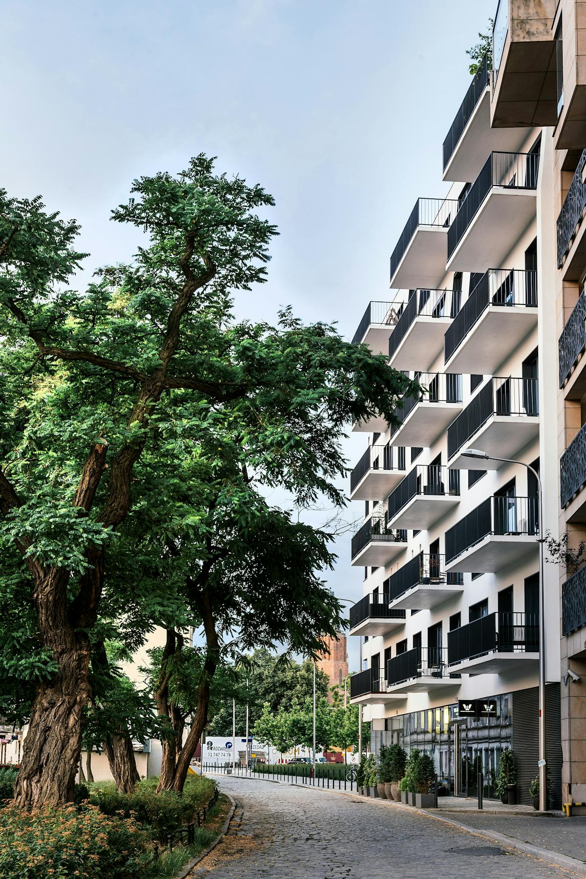 House with trees